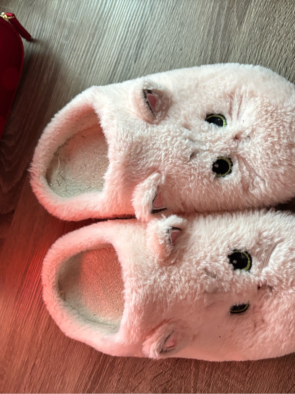 Worn in House Slippers - Picture 2 of 3